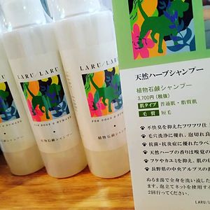 LARULARU植物石鹸シャンプー